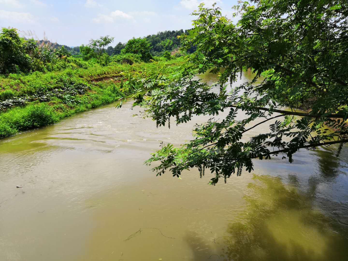 江西丰城荷湖水库搬迁图片