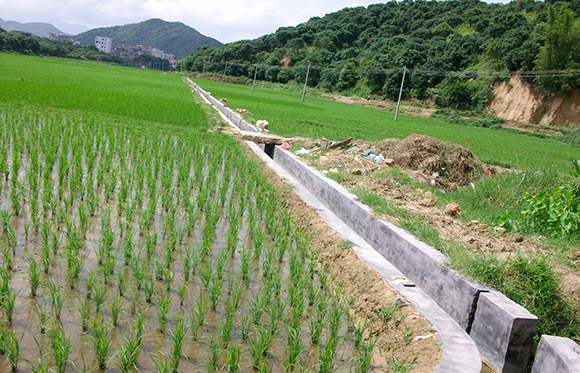 广西梧州蒙山县西河镇 43亩 水田 经营权出租