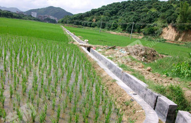 广西梧州蒙山县西河镇 43亩 水田 经营权出租