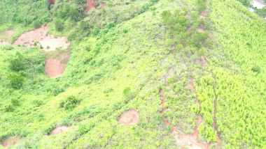 梧州龙圩区120.0亩荒山出租