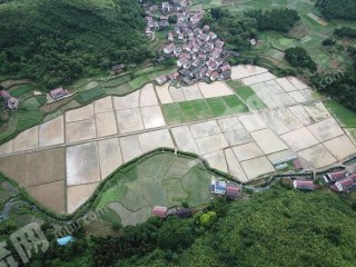 怀化沅陵县125.0亩水田经营权出租