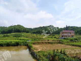 怀化沅陵县1.0亩水田经营权出租