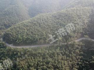 怀化沅陵县230.0亩荒山合作