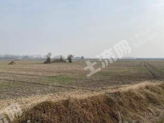 淮南凤台县100.0亩其它耕地经营权出租