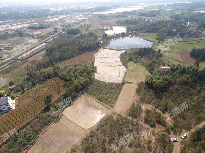 常德汉寿县 12.52亩 坑塘水面 经营权出租