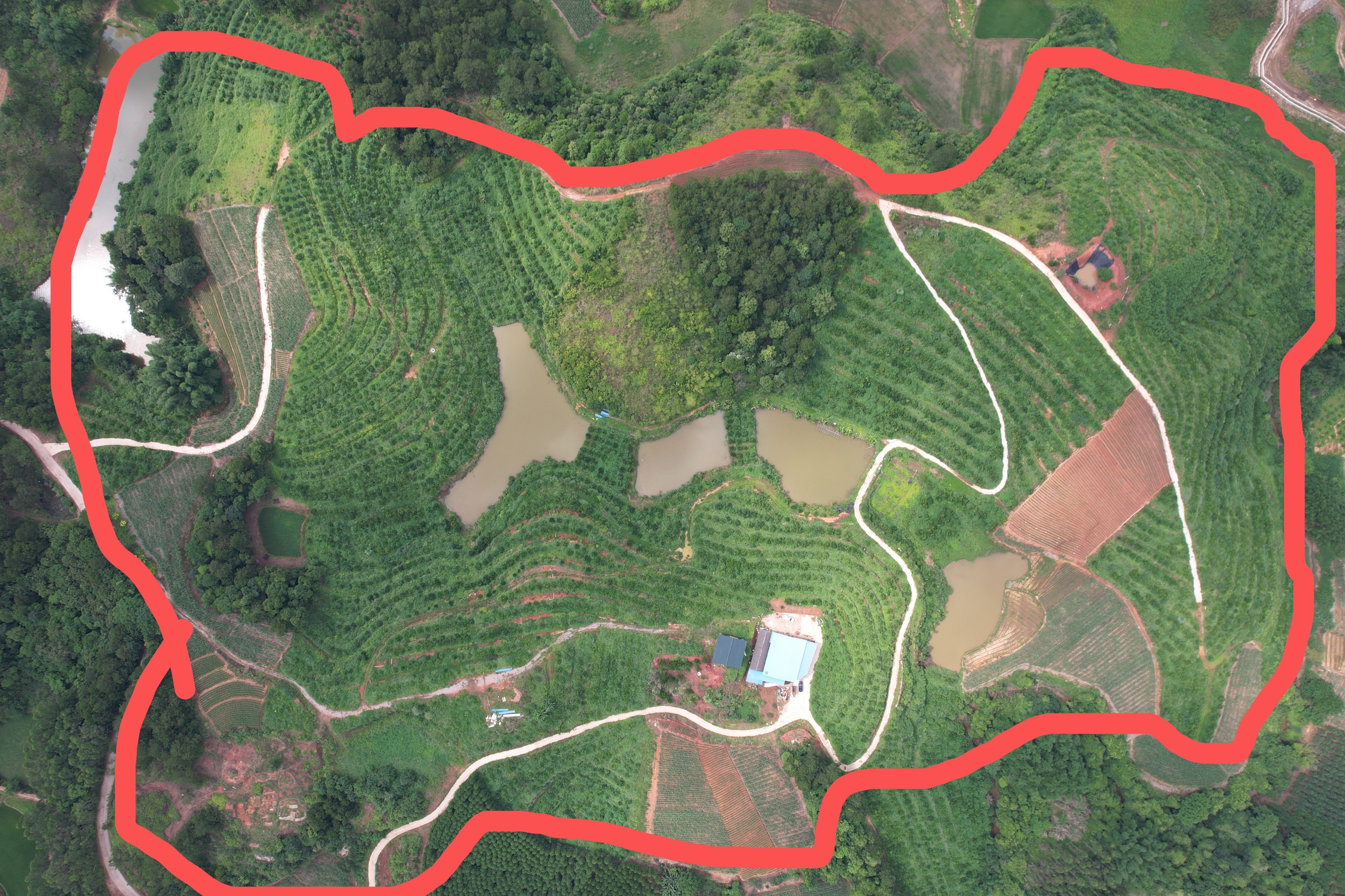 南宁青秀区 380亩 其它林地 经营权出租