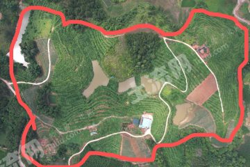 南宁青秀区 380亩 其它林地 经营权出租