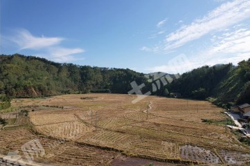 宜春铜鼓县150.0亩其它耕地经营权出租