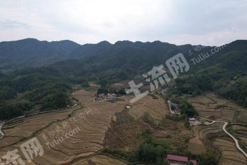 宜春铜鼓县1450.0亩其它耕地经营权出租
