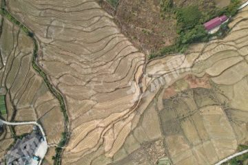 宜春铜鼓县700.0亩其它耕地经营权出租
