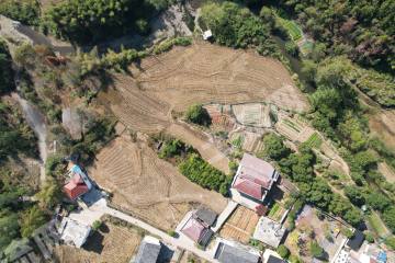 宜春铜鼓县310.0亩其它耕地经营权出租