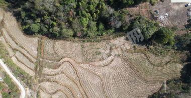宜春铜鼓县190.0亩其它耕地经营权出租