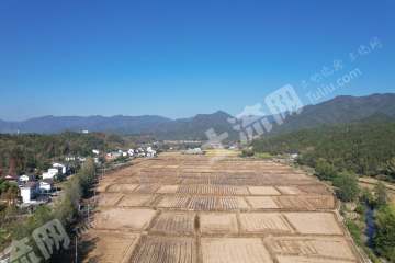 宜春铜鼓县300.0亩其它耕地经营权出租