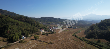 宜春铜鼓县240.0亩其它耕地经营权出租