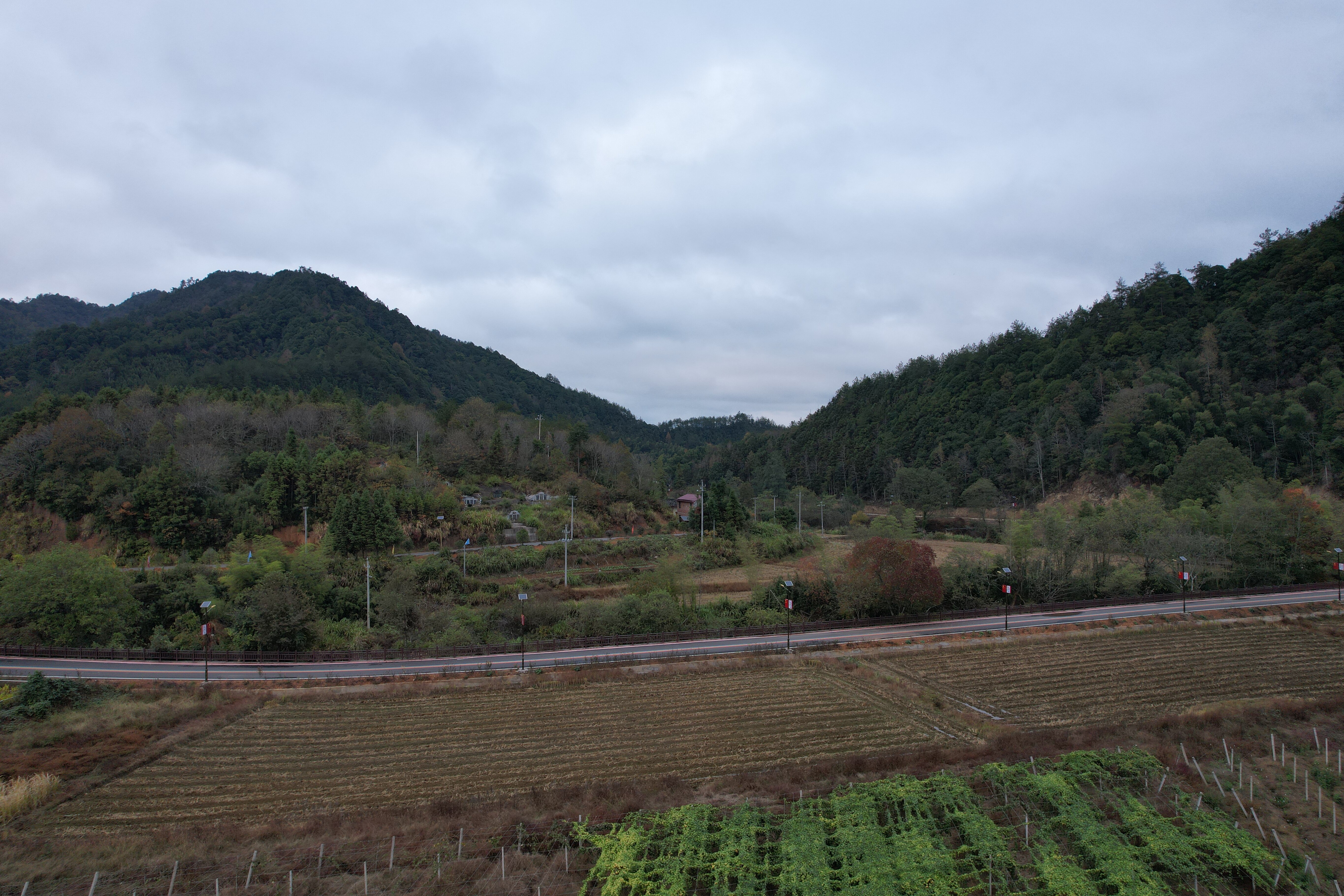 宜春铜鼓县30.0亩其它耕地经营权出租