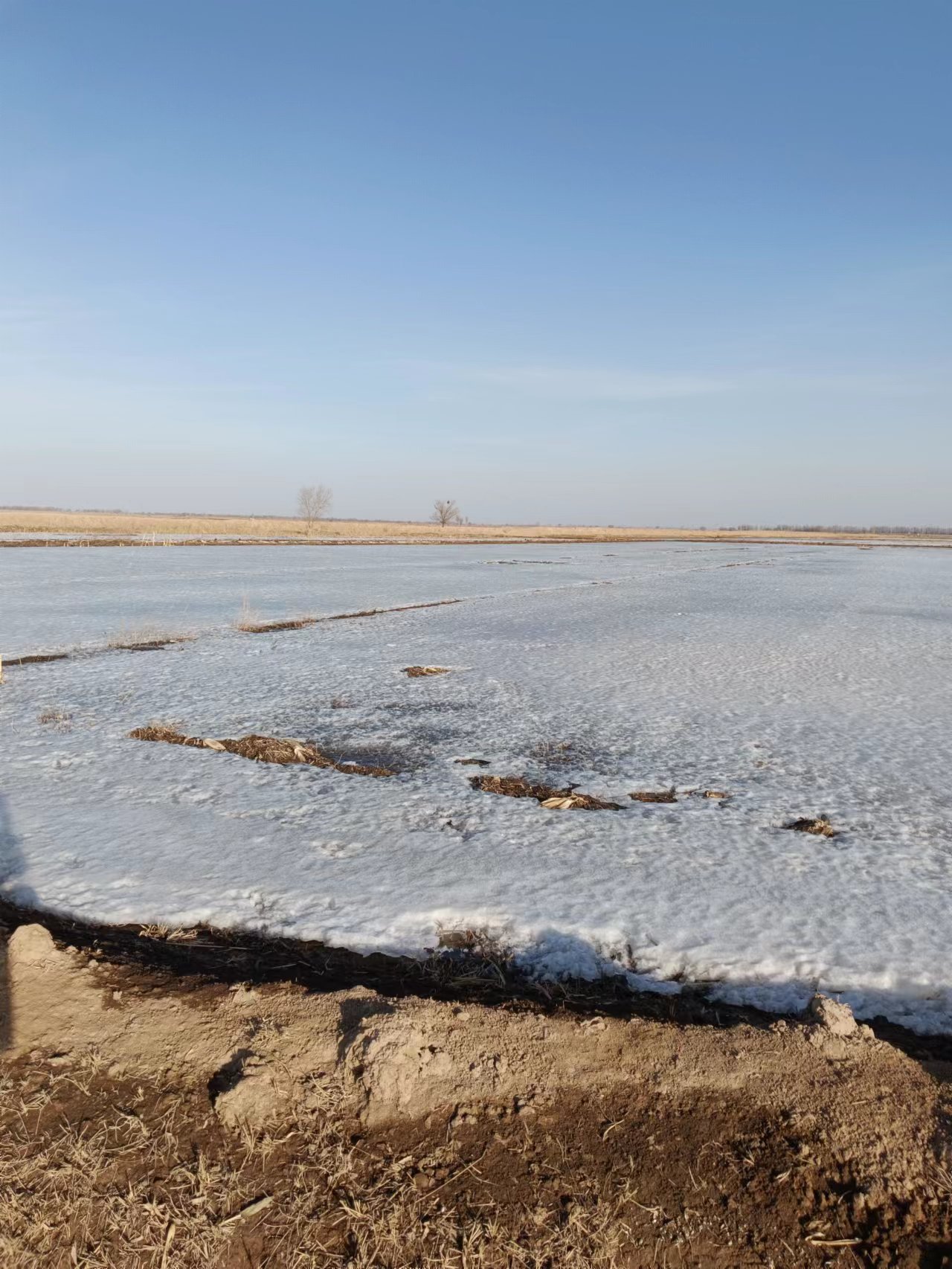 包头土默特右旗320.0亩其它耕地经营权出租