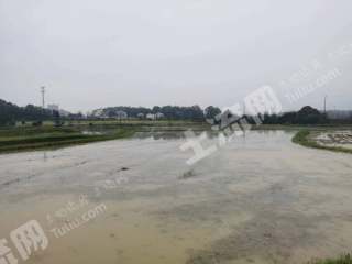 岳阳汨罗市588.0亩水田经营权出租
