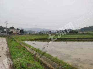 岳阳汨罗市417.0亩水田经营权出租