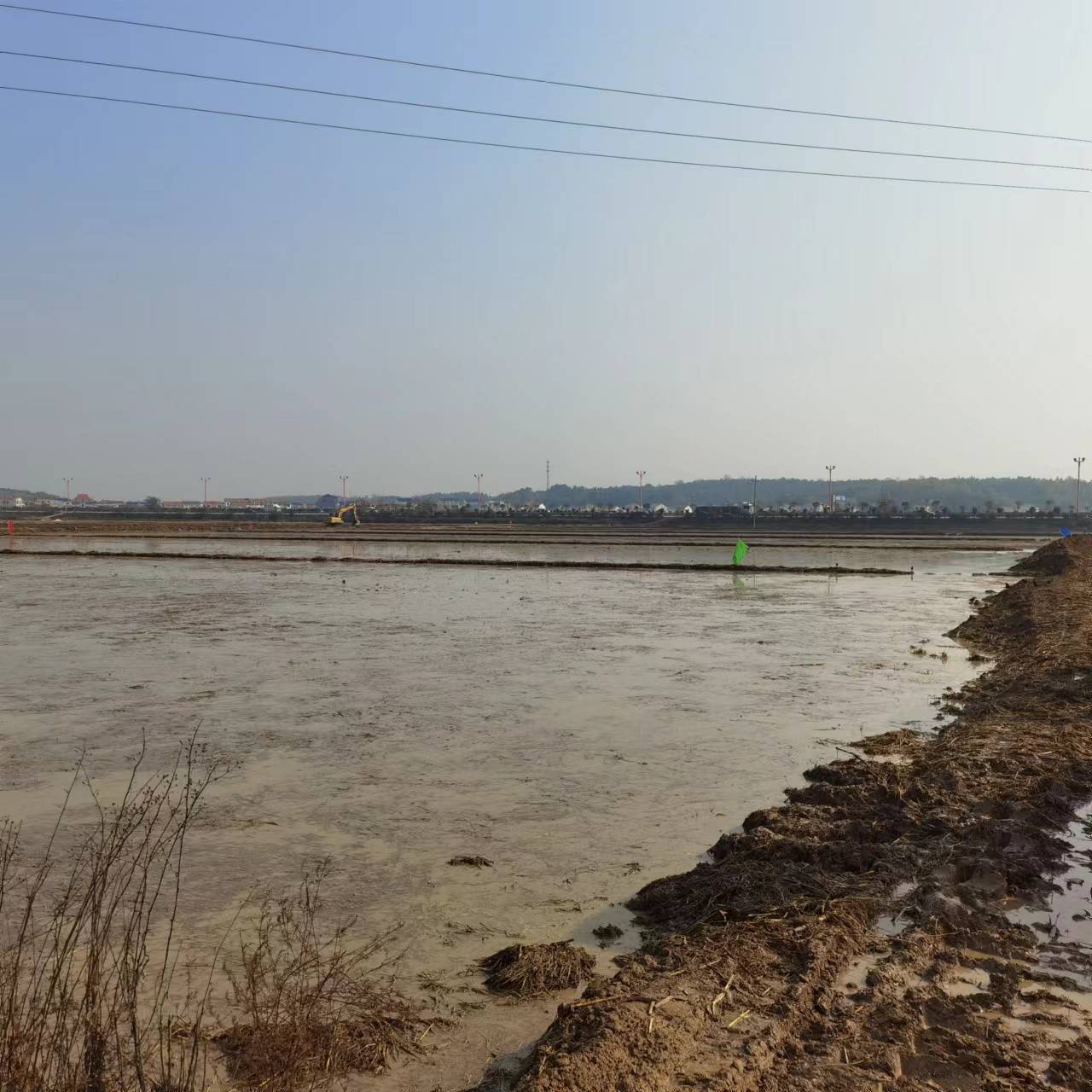 岳阳汨罗市 412.32亩 水田 经营权出租