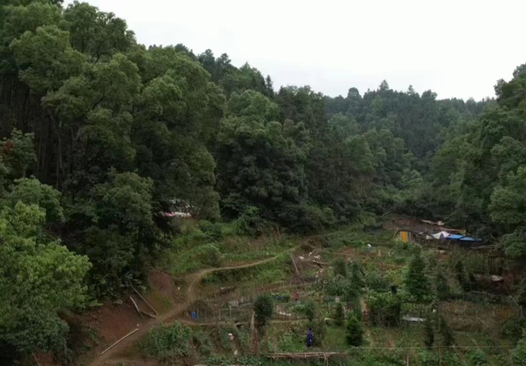 宜春铜鼓县4.0亩旱地经营权出租