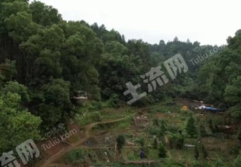 宜春铜鼓县4.0亩旱地经营权出租
