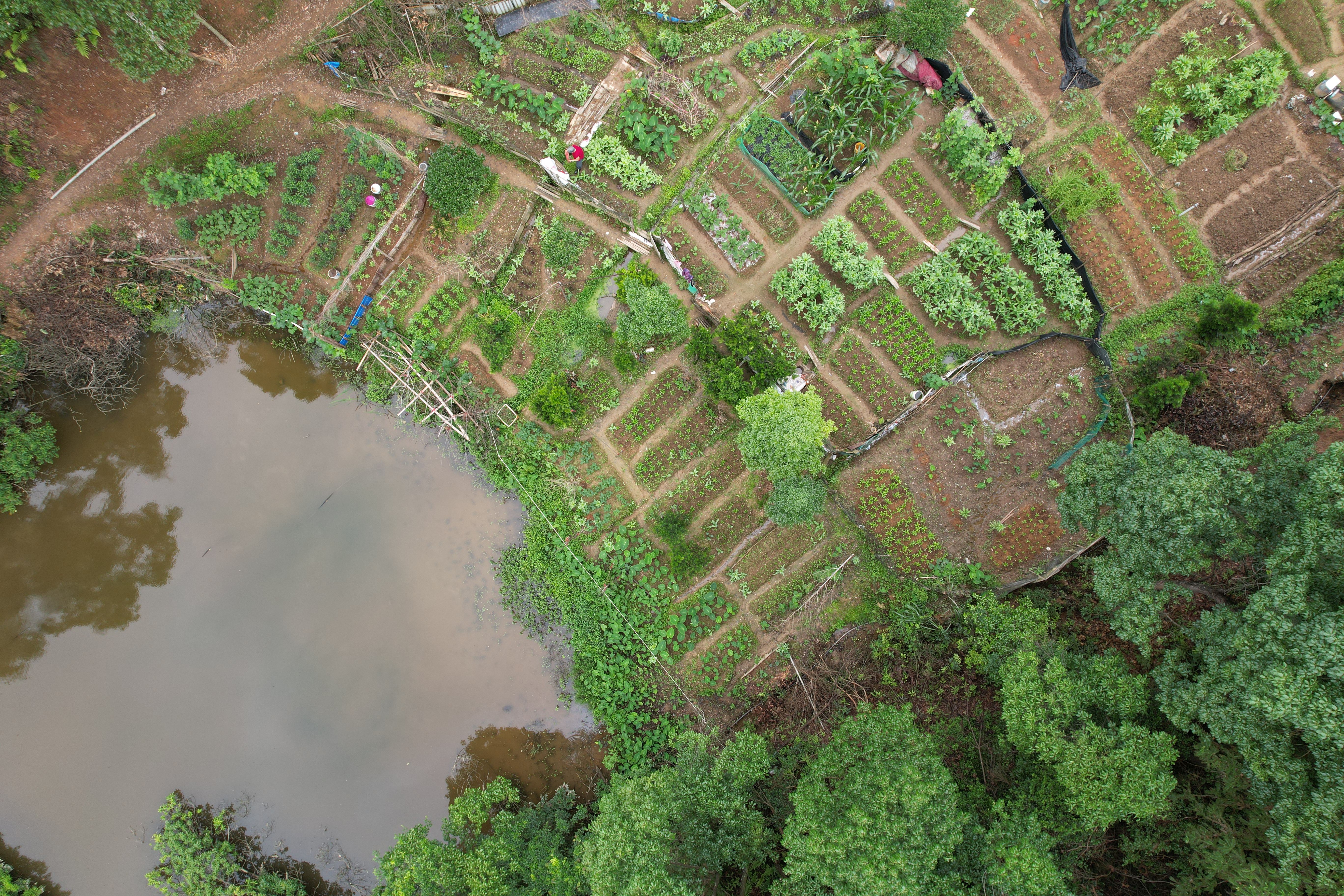 宜春铜鼓县3.0亩坑塘经营权出租