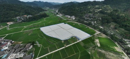 怀化新晃侗族自治县 41亩 水田 经营权出租