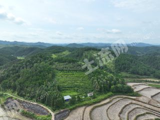 怀化会同县60.0亩其它林地经营权出租