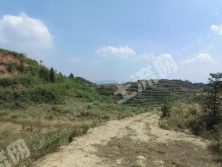 邵阳隆回县 30亩 水浇地 经营权出租