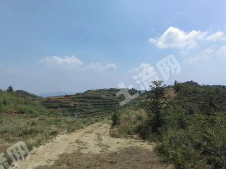 邵阳隆回县 350亩 水浇地 经营权出租