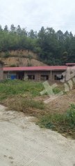 邵阳隆回县 20亩 水浇地 经营权出租
