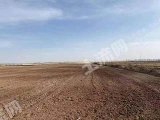 巴彦淖尔五原县1000.0亩水浇地经营权出租