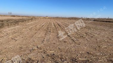 巴彦淖尔五原县3000.0亩水浇地经营权出租