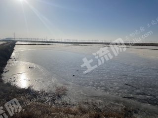 巴彦淖尔五原县5000.0亩水浇地经营权出租