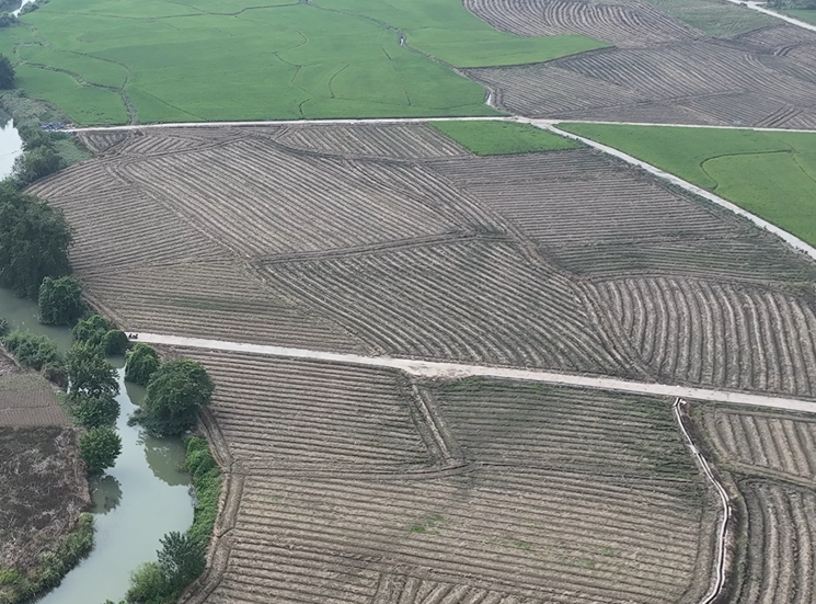 邵阳武冈市 1210.5亩 水浇地 经营权出租