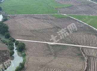 邵阳武冈市 1210.5亩 水浇地 经营权出租