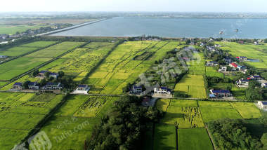 益阳赫山区468.83亩水田经营权出租