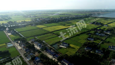 益阳赫山区369.87亩水田经营权出租