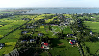 益阳赫山区369.87亩水田经营权出租