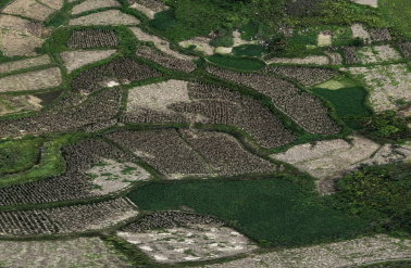 邵阳武冈市 647.89亩 水浇地 经营权出租