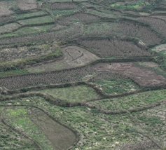 邵阳武冈市 574.53亩 水浇地 经营权出租