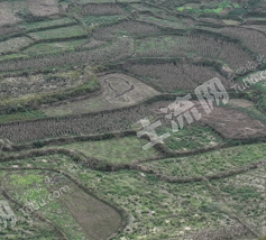 邵阳武冈市 574.53亩 水浇地 经营权出租