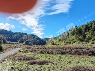 鹰潭贵溪市 150亩 水浇地 经营权出租