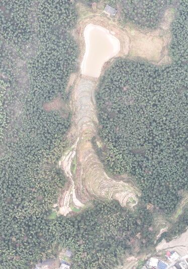 邵阳隆回县 450亩 灌木林地 经营权转让