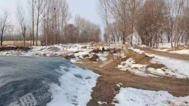 河北邯郸 85亩 水浇地 经营权出租