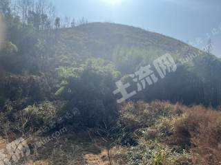 邵阳邵阳县210.0亩水浇地经营权出租
