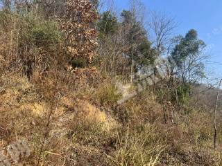 邵阳邵阳县190.0亩水浇地经营权出租