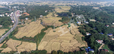 益阳赫山区 719.77亩 水田 经营权出租