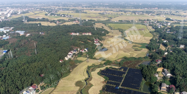 益阳赫山区 719.77亩 水田 经营权出租