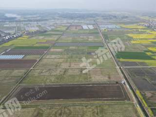 咸宁赤壁市520.0亩水田经营权出租